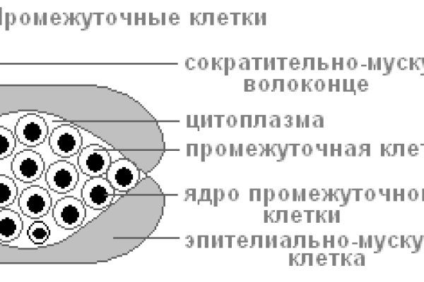 Кракен ссылка на сайт krk store com