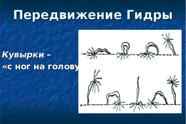 Кракен 22