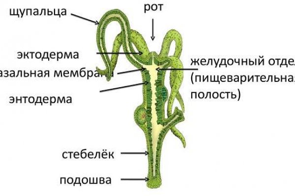 Настоящая ссылка на кракен