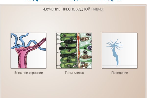 Кракен сайт что