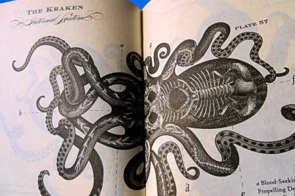 Kraken hydra