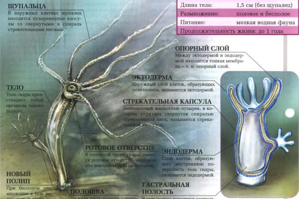 Кракен мага
