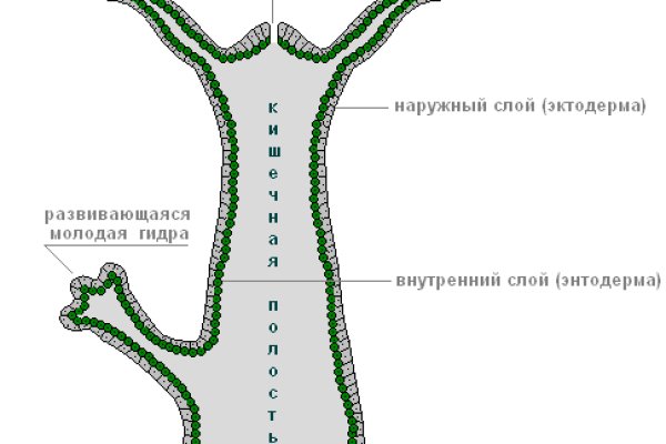 Кракен маркет даркнет только через тор