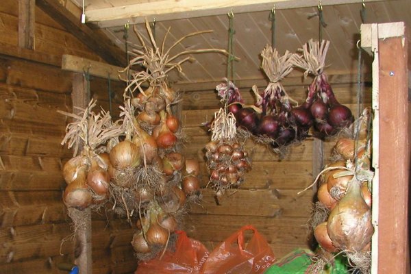 Как восстановить пароль на кракене
