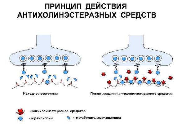 Kraken 14 at сайт