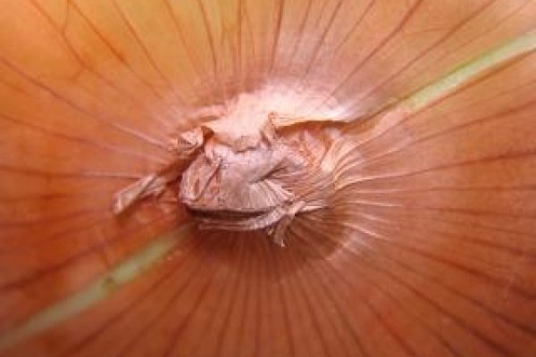 Сайт кракен официальный ссылка onion
